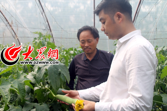 基地管理人员王增荣介绍丝瓜的长势