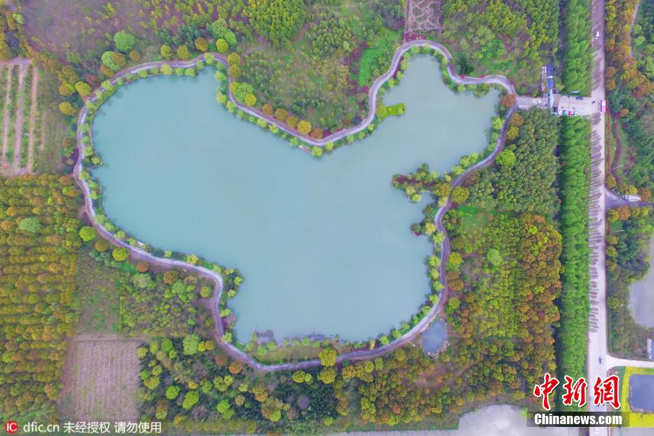 　2016年4月5日，上海，航拍镜头下，上海一人工湖现巨幅“中国地图”，独具匠心构思巧妙让人称奇。