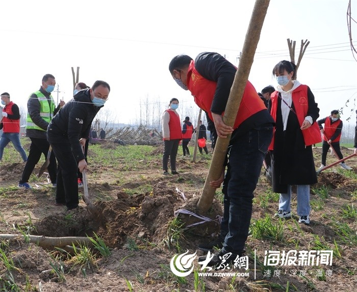 栽植新绿点亮美好曹县青年党员志愿者开展义务植树活动