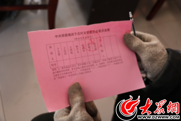 鄄城县基层支部委员换届选举 全程视频确保符