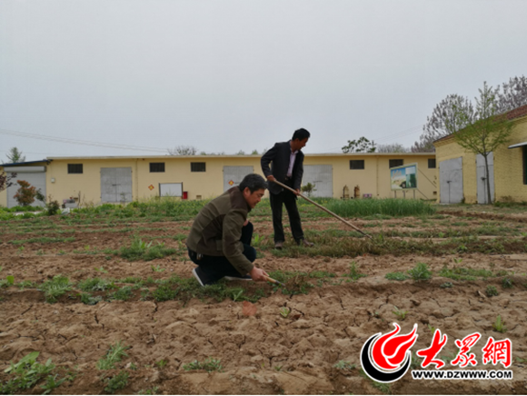 郓城河务局杨集管理段菜瓜种植助力菜篮子工程