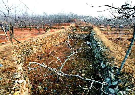 朱彦夫拖着病体带领村民治理了张家泉村的三条大沟,让荒地变成了