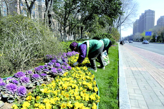 宿州市全面加强农田林网新植树木管护