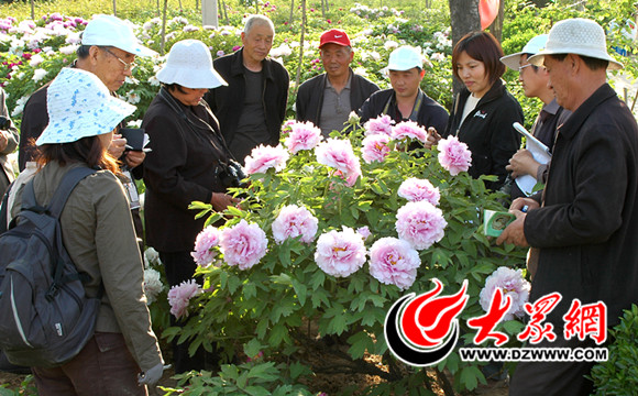 孙景玉(左四)与中国花卉协会牡丹芍药分会会长在百花园鉴定品种