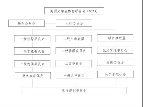 我们能从美国体育管理机制中学到什么?-新华网体育