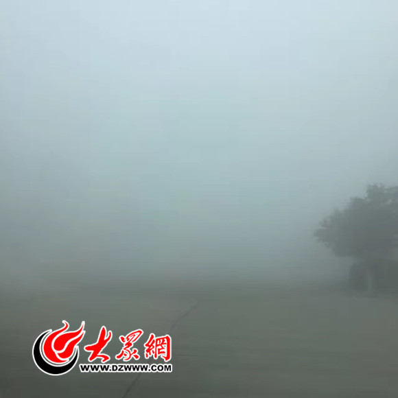 菏泽遭遇大雾袭击 境内高速全部封闭
