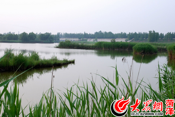 休閒娛樂好去處 東明黃河國家溼地公園開園迎客