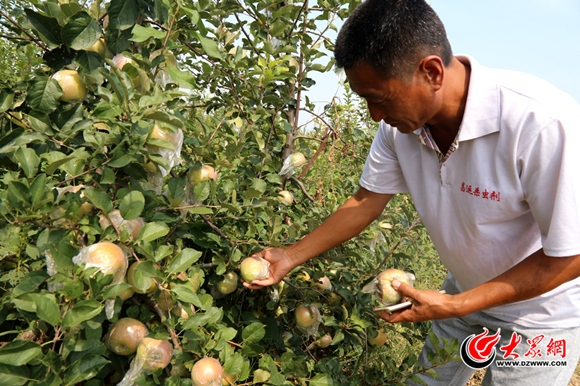 曹县十三村为村魅力吸睛 4万余人在线观看直
