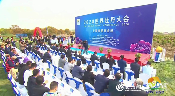 微信图片_20200411120225.jpg