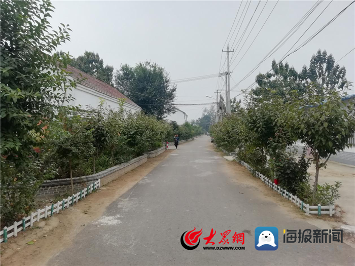 村里道路全部硬化,绿化.png