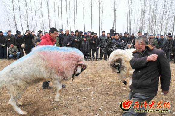 巨野东岳天齐庙:千年古庙会 时过境未迁