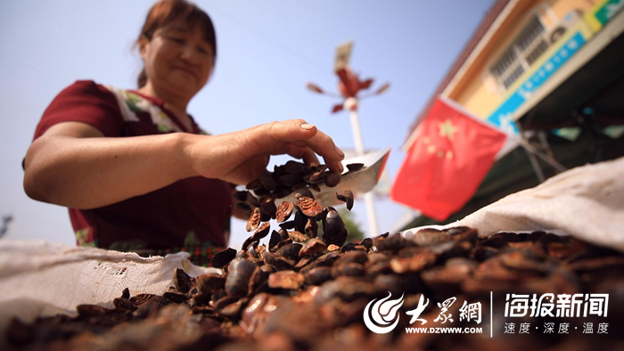 微信图片_20191015110228.jpg