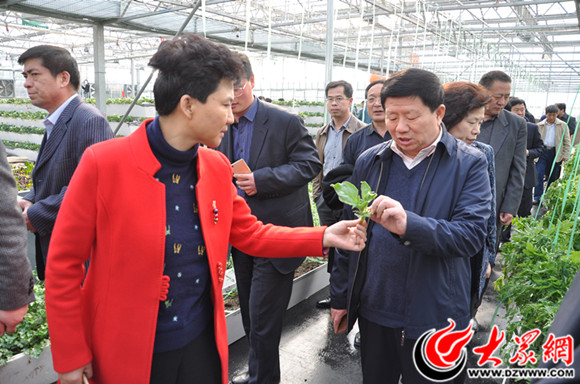 菏泽市农业局党组书记,局长朱瑞军(左)与培训班成员沟通冰菜培育情况