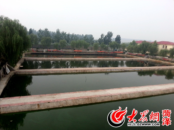 大众网友走进菏泽京都书画产业园 领略艺术魅力